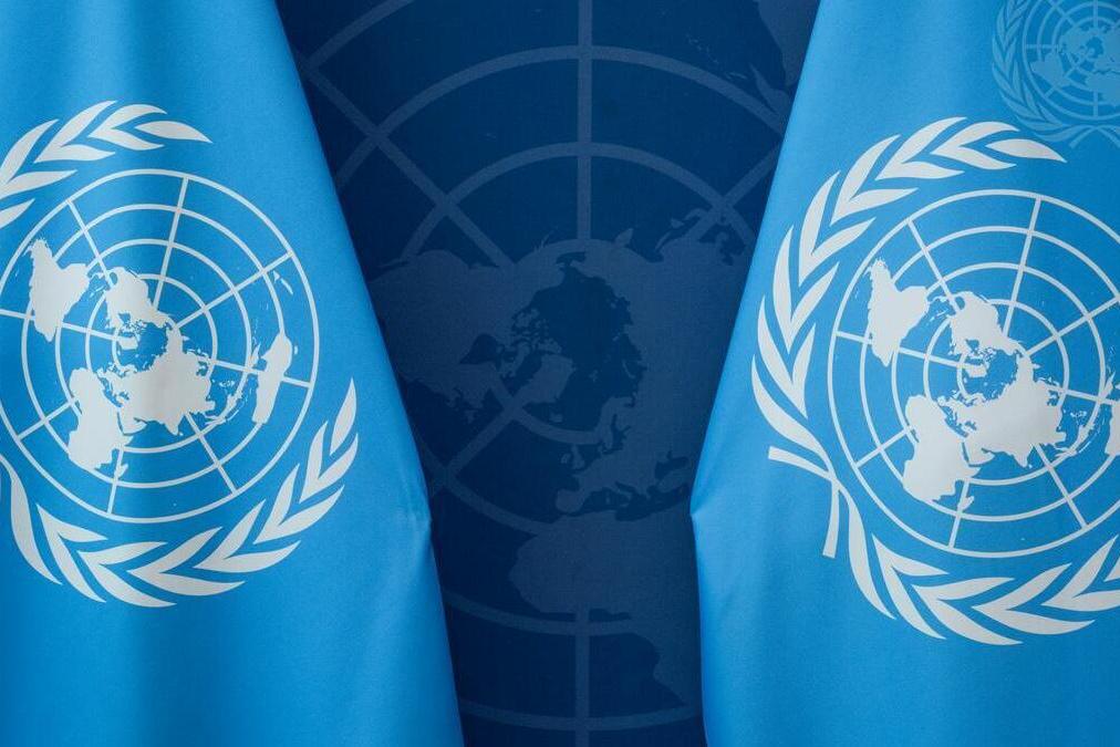 UN flags