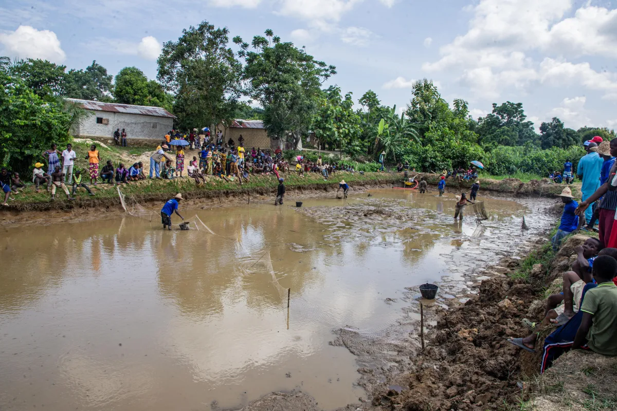 2026-06-03-projet_cvr_en_pisciculture_a_pk_22_liton-2_6291_copie.jpg