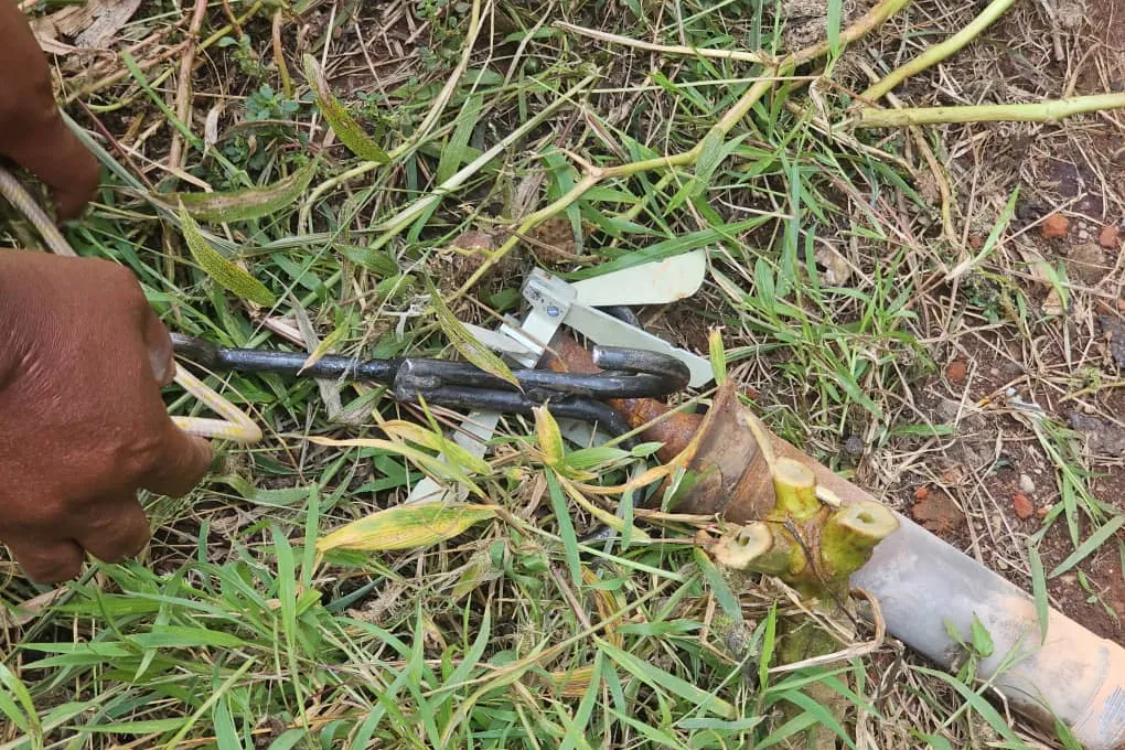 Explosive remnants