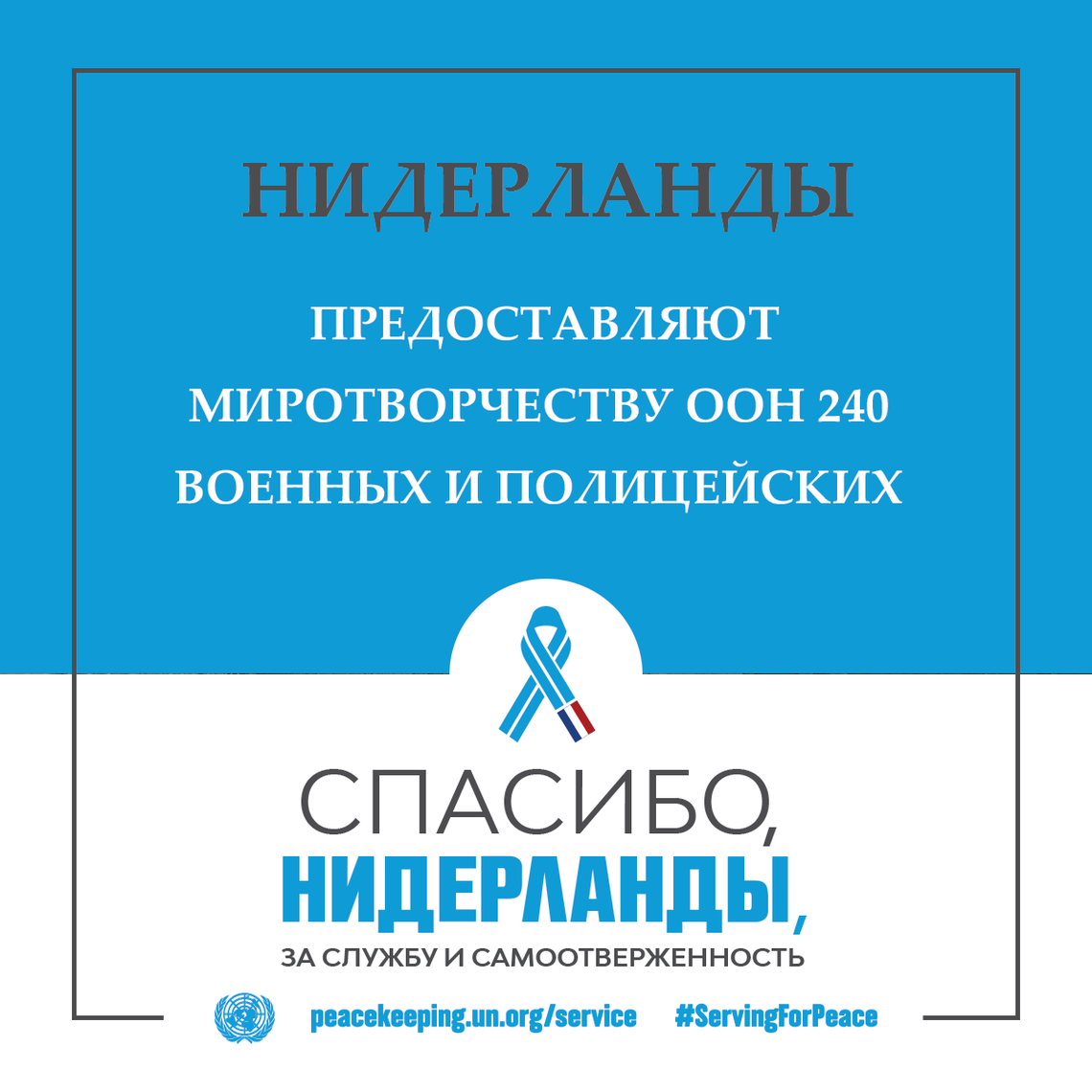 Спасибо, Нидерланды, за службу и самоотверженность