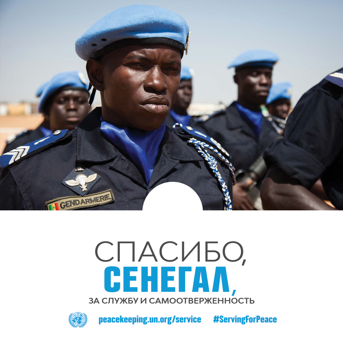 Спасибо, Сенегал, за службу и самоотверженность